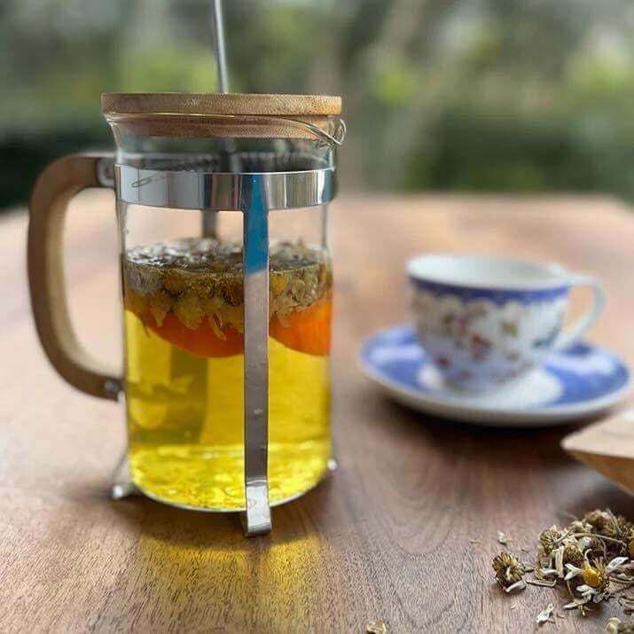 Papatya